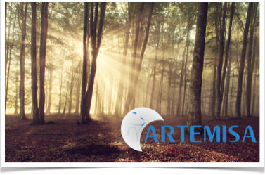 Artemisa na conceição original